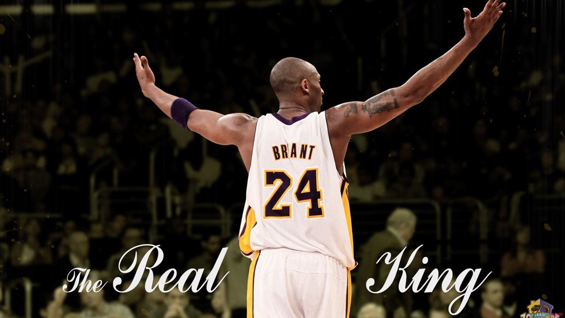 热火队球队主场表现强势，热火队的主场