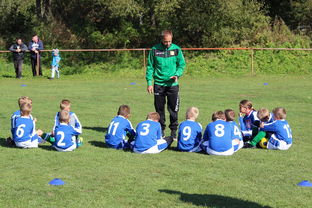 九游体育官网-德甲球队构建战术模拟平台辅助赛中调整，德甲模式